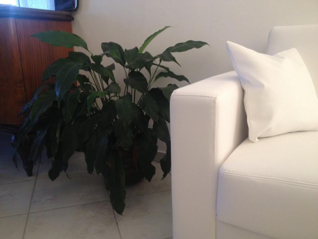 Via Roma Suite Ortona Zewnętrze zdjęcie